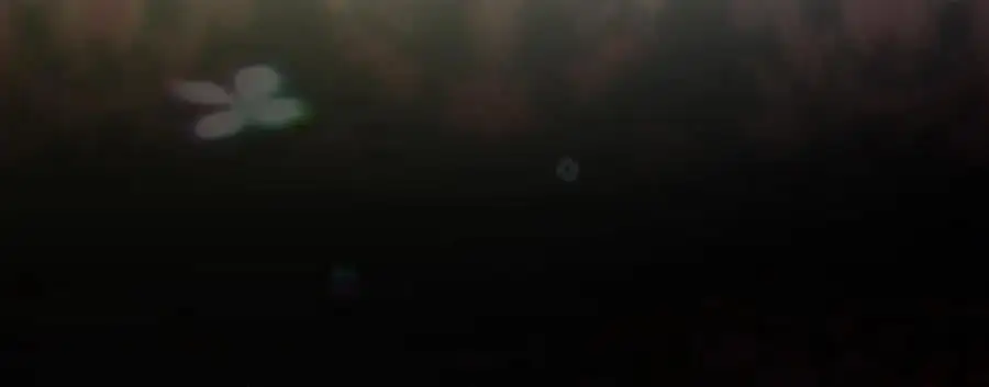 番外15 第三个愿望 第34页
