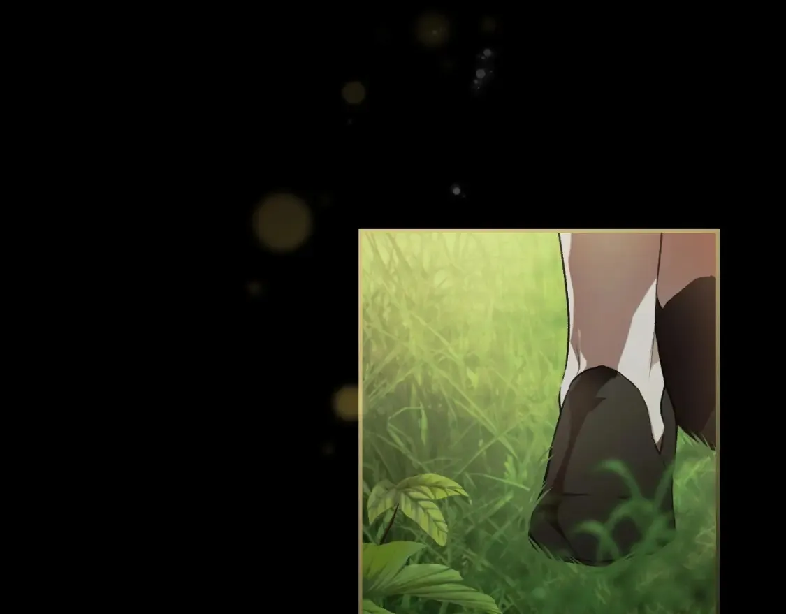 第69话 过往·恩宠与诅咒 第91页