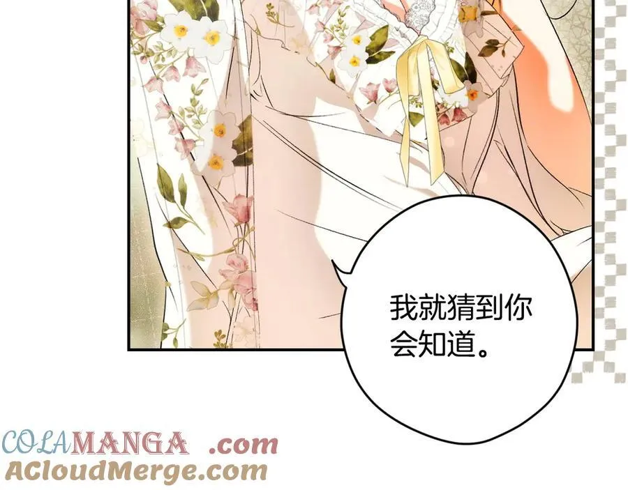 第97话 秘密武器的真相 第33页