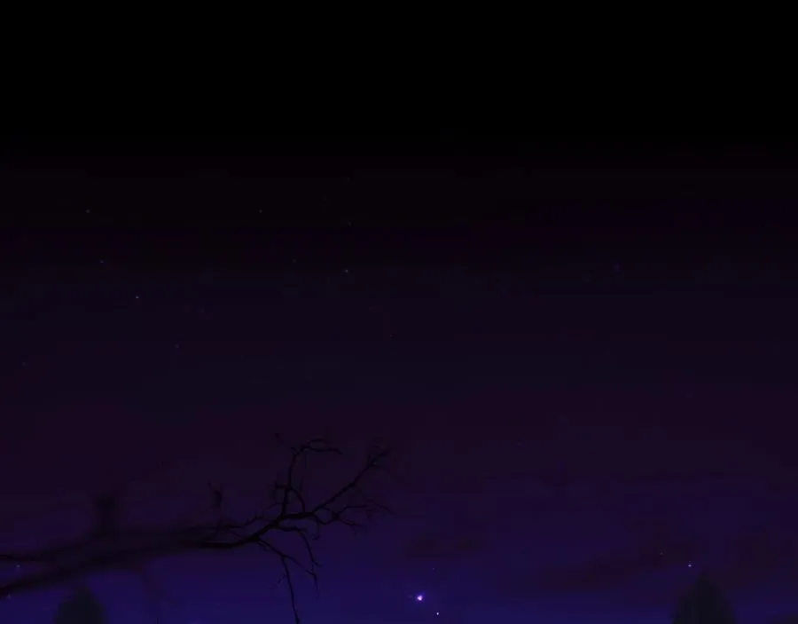 第116话 是幻觉吗 第39页