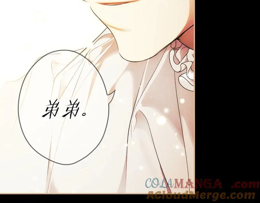 第117话 绝不放手 第101页