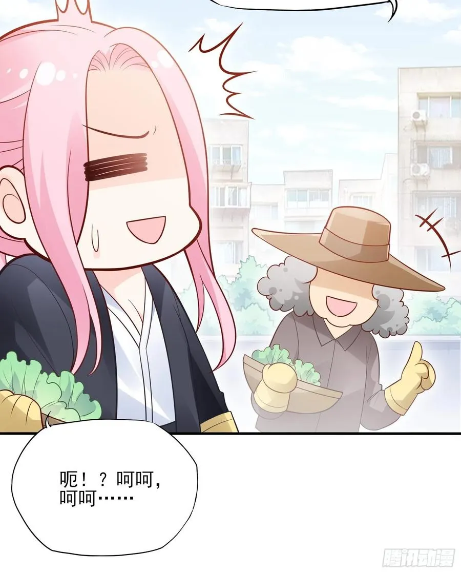 97：猫咪多可爱呀~ 第10页