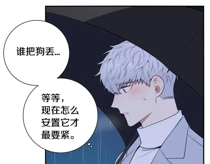 番外一 三月的愿望 第14页