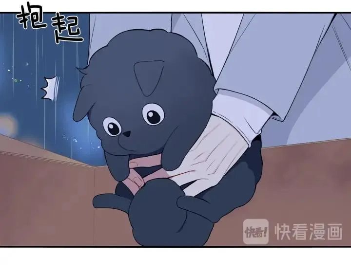番外一 三月的愿望 第19页