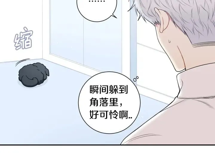 番外一 三月的愿望 第28页