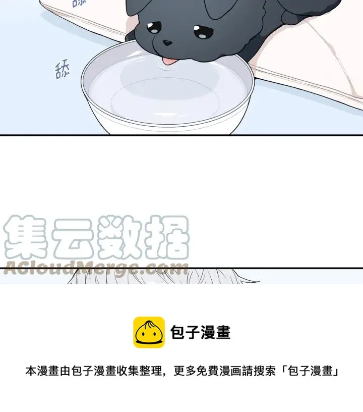 番外一 三月的愿望 第37页