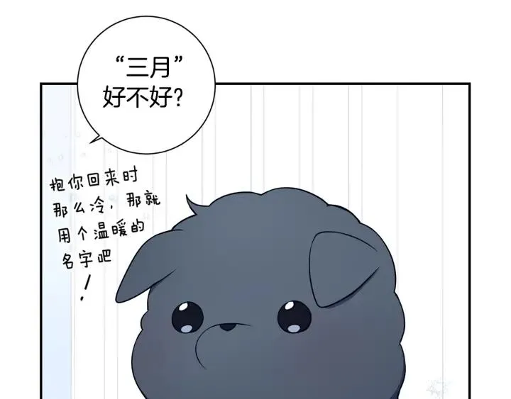 番外一 三月的愿望 第48页