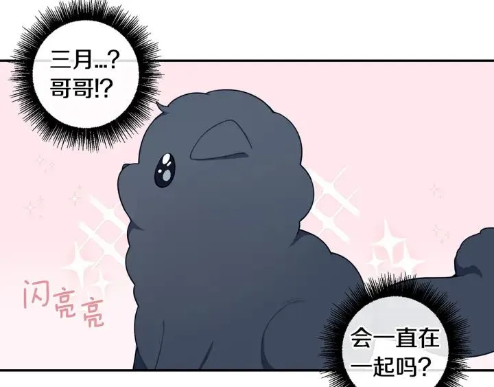 番外一 三月的愿望 第52页