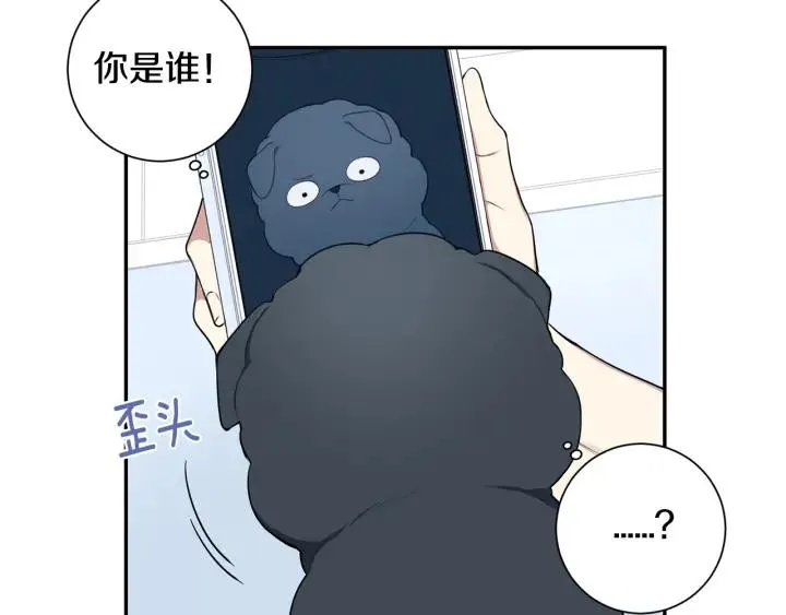番外一 三月的愿望 第79页