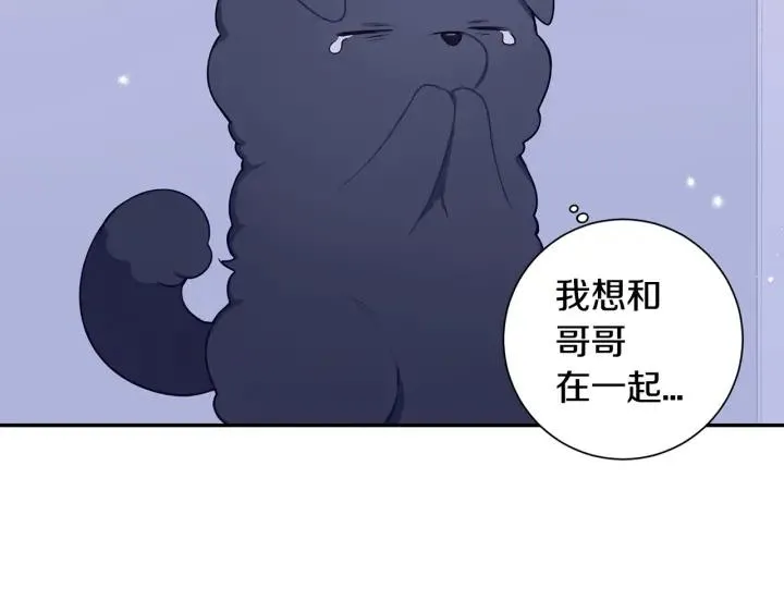 番外一 三月的愿望 第95页