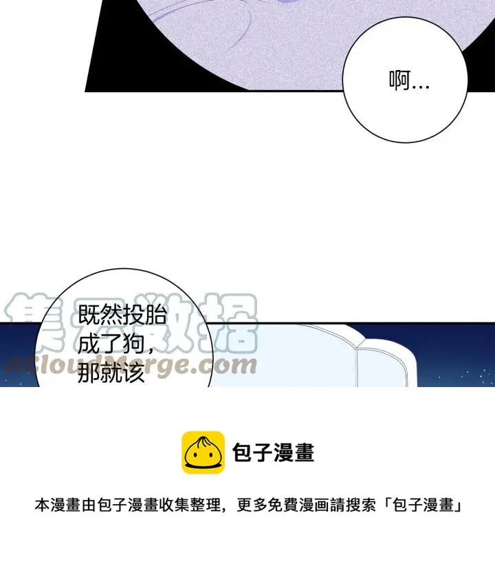 番外一 三月的愿望 第105页