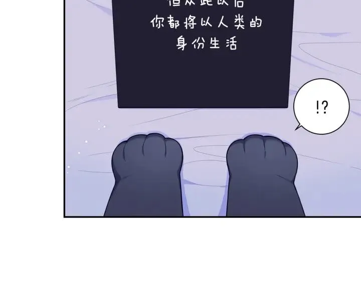 番外一 三月的愿望 第120页