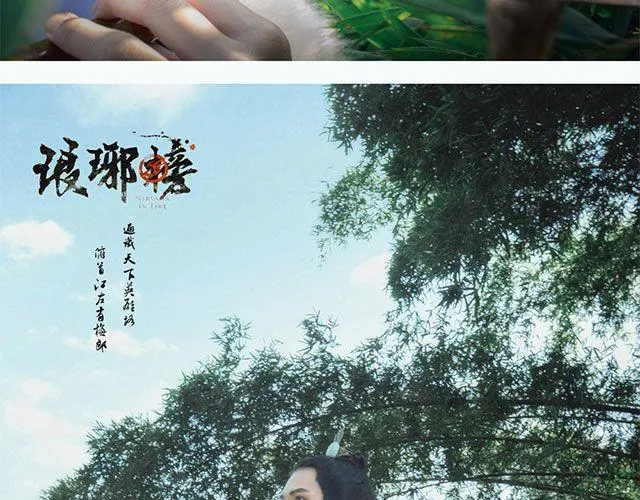 《琅琊榜》 梅长苏&飞流 第13页