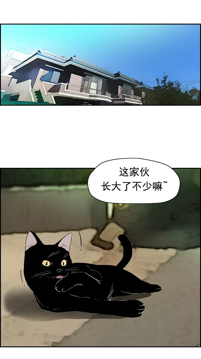 特别篇 第5页