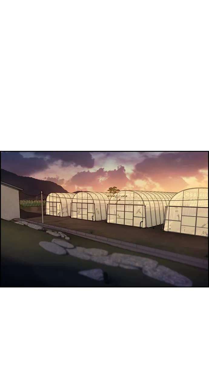 第108话 第43页