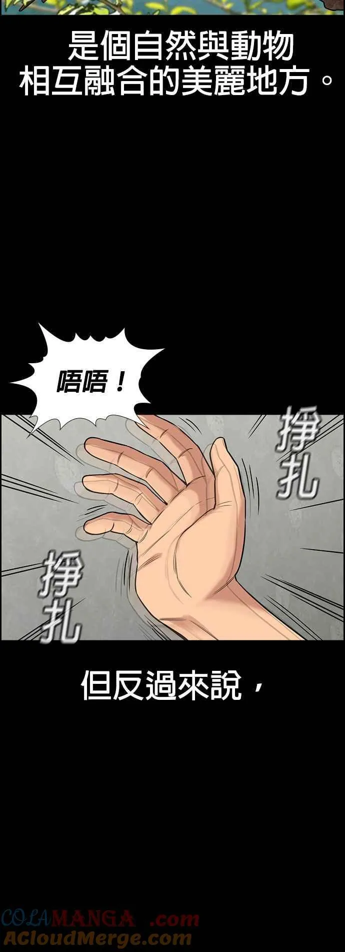 第132话 第13页
