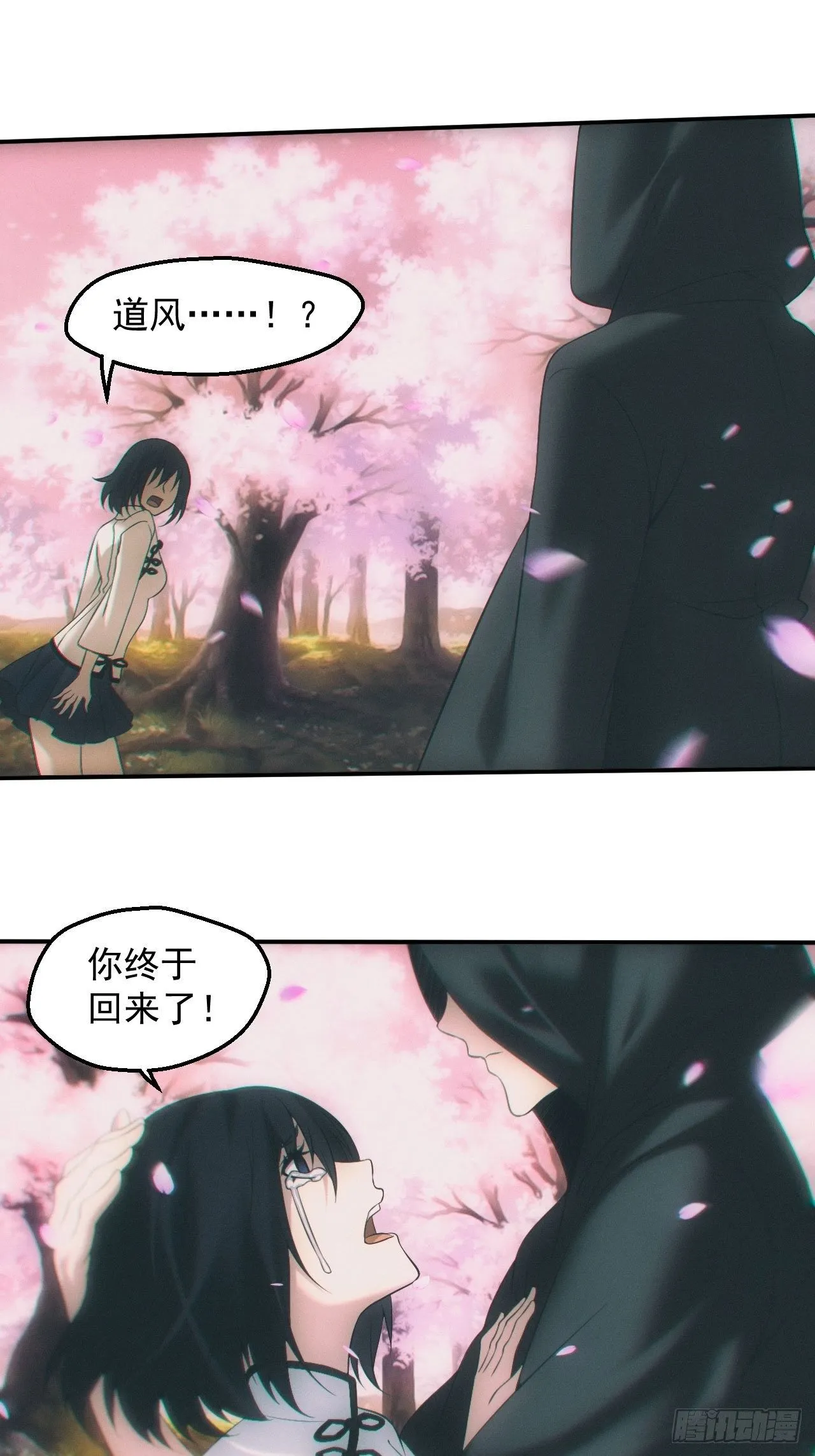 尘埃落定 第17页