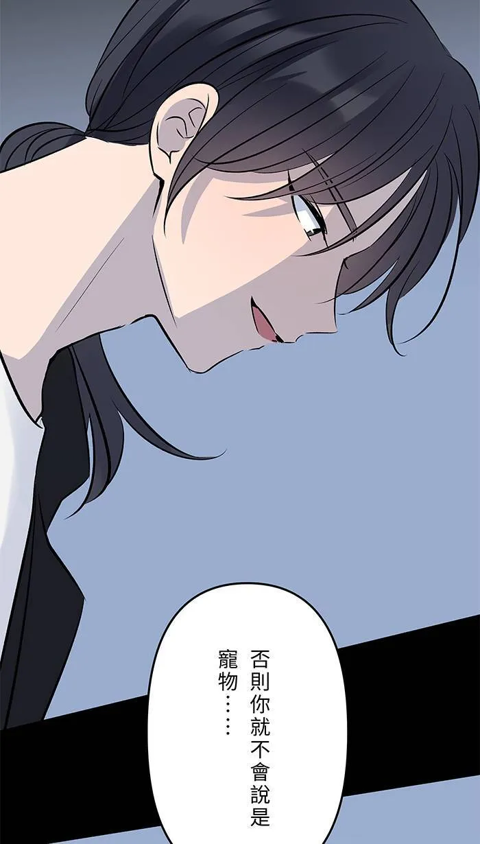 第130话 赌注 第13页