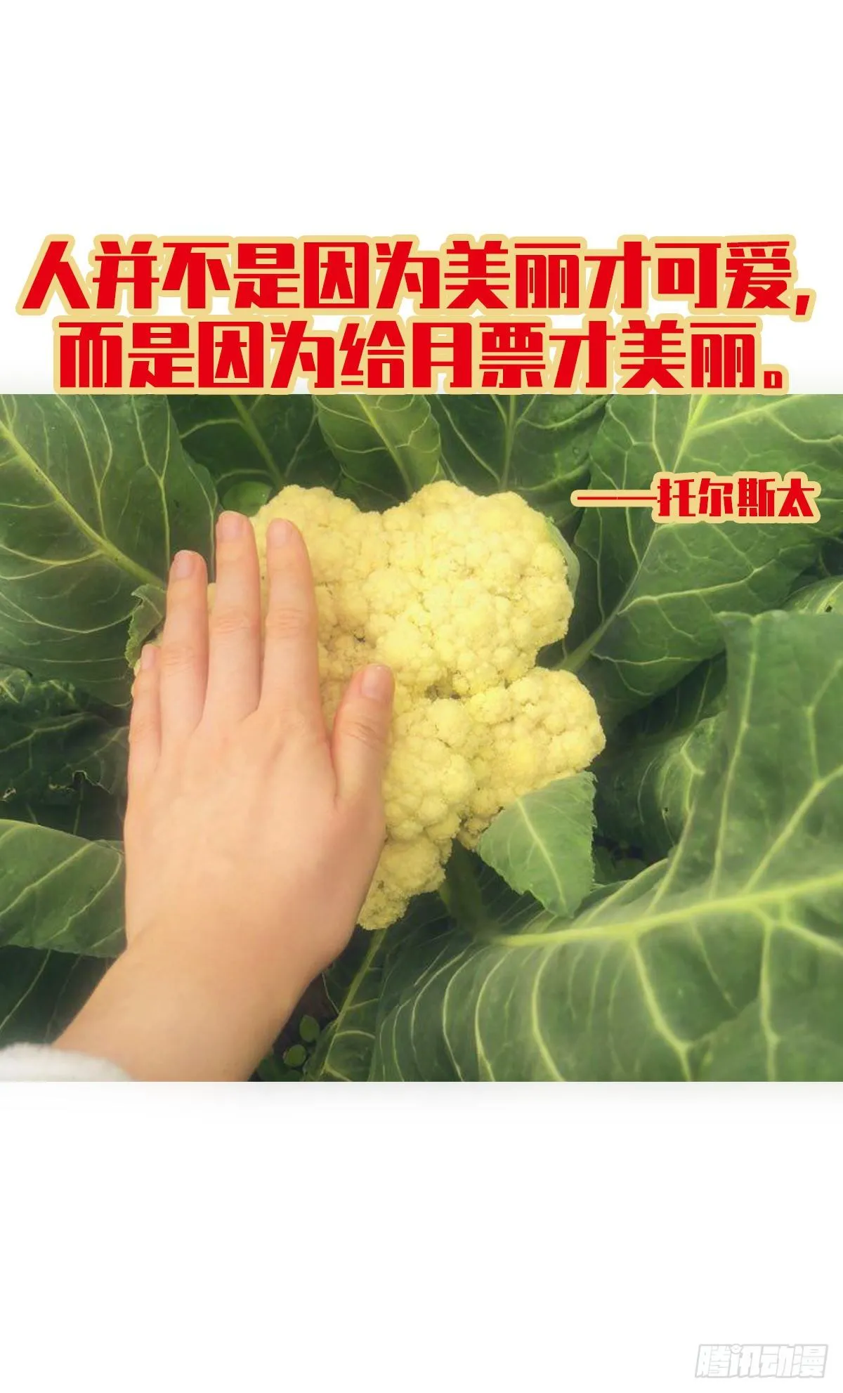 我的（4） 第57页