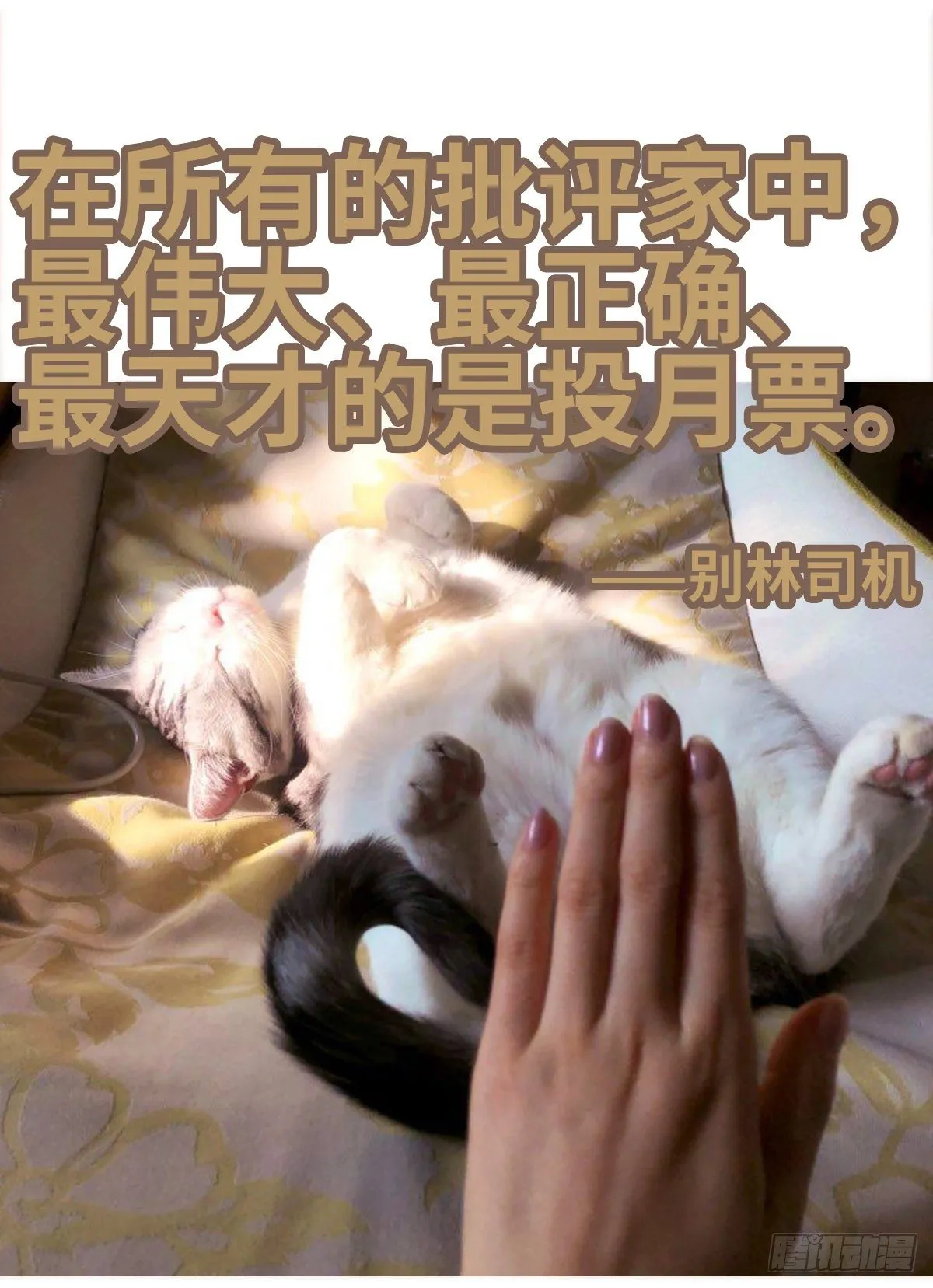 出战（2） 第52页