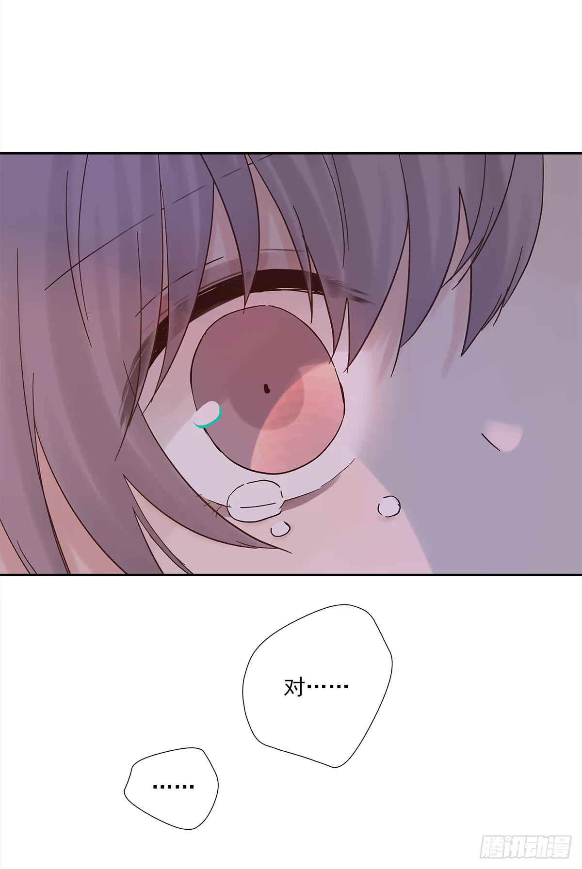 决定（2） 第22页