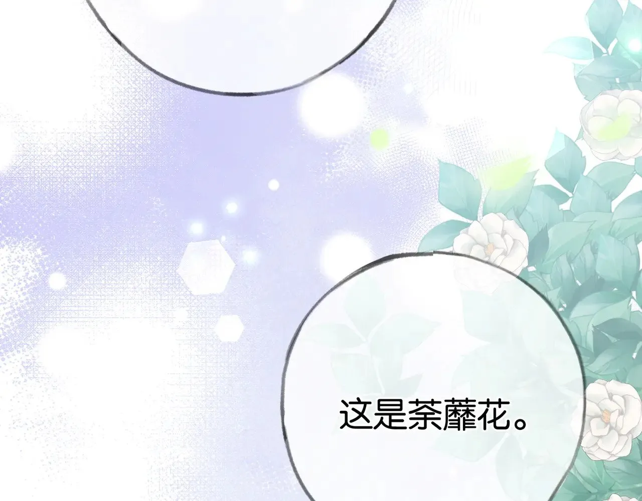 第97话 游说丁老 第133页