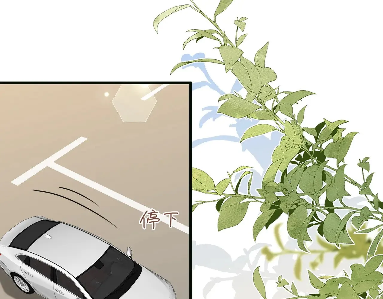 第116话 白月光和她的cp们 第21页