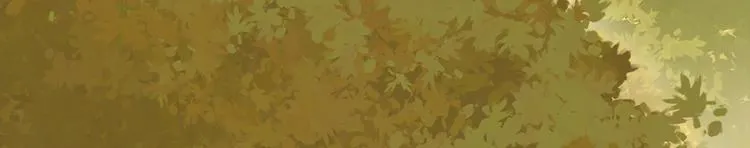 第二十三话 第75页