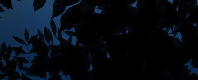 第四话 第36页