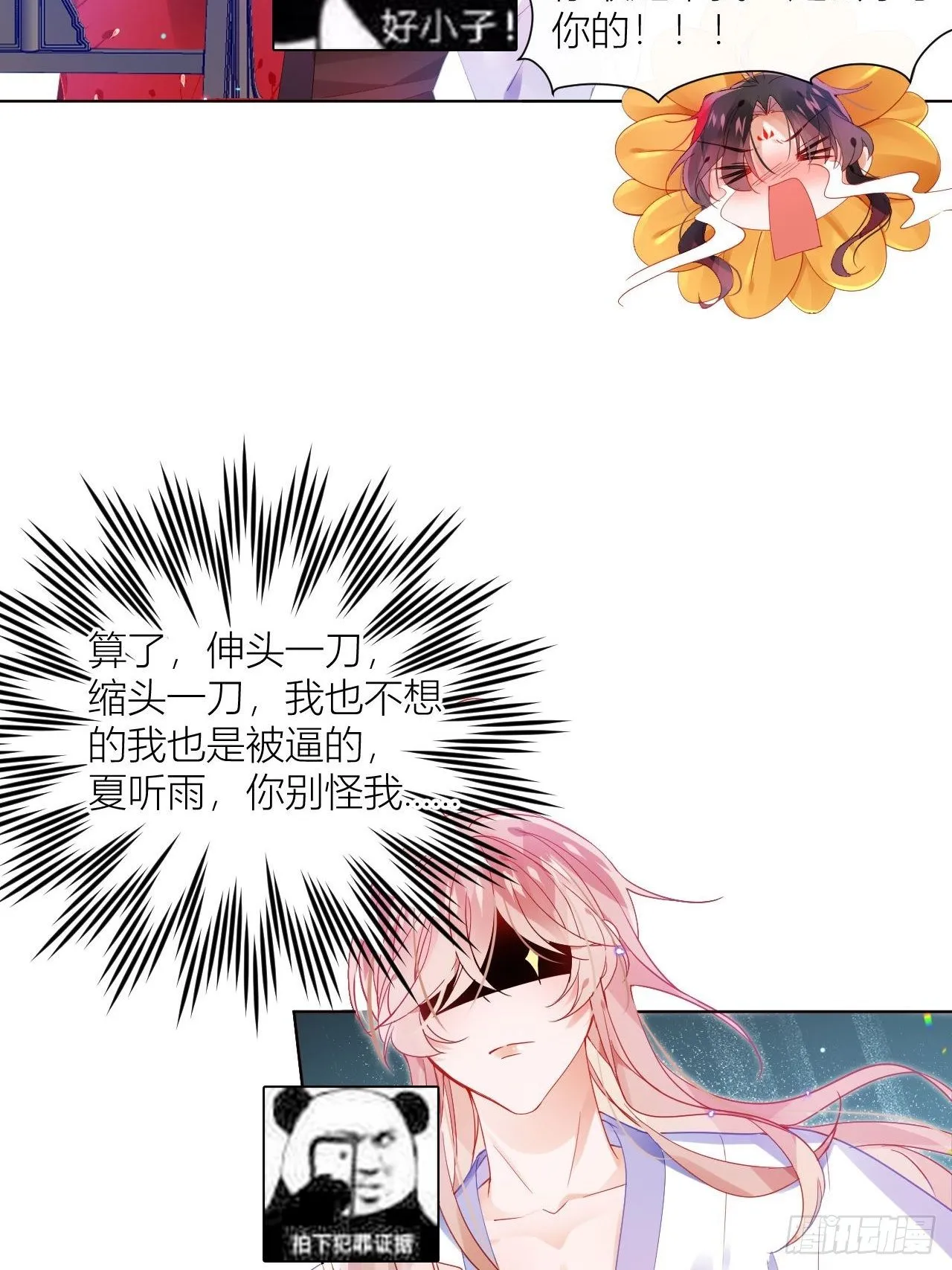邀君一同赏夏菊！ 第4页