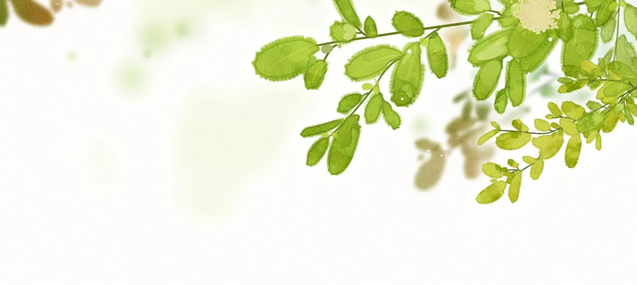 第七十八章 如胶投漆 第17页