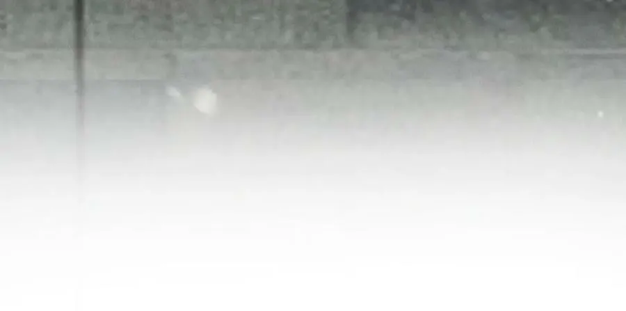 第九十二章 延颈鹤望 第67页