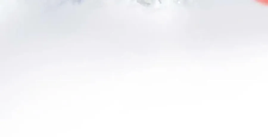 第九十三章 燕约莺期 第11页