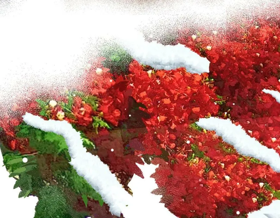 第九十三章 燕约莺期 第63页