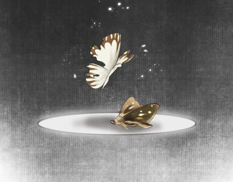第七章 昨日与明天 第66页