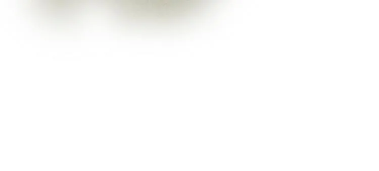 第二十三章 一起画纸鸢 第61页