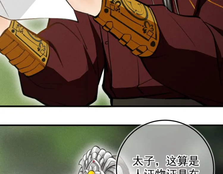 第三十章 反击之端 第99页