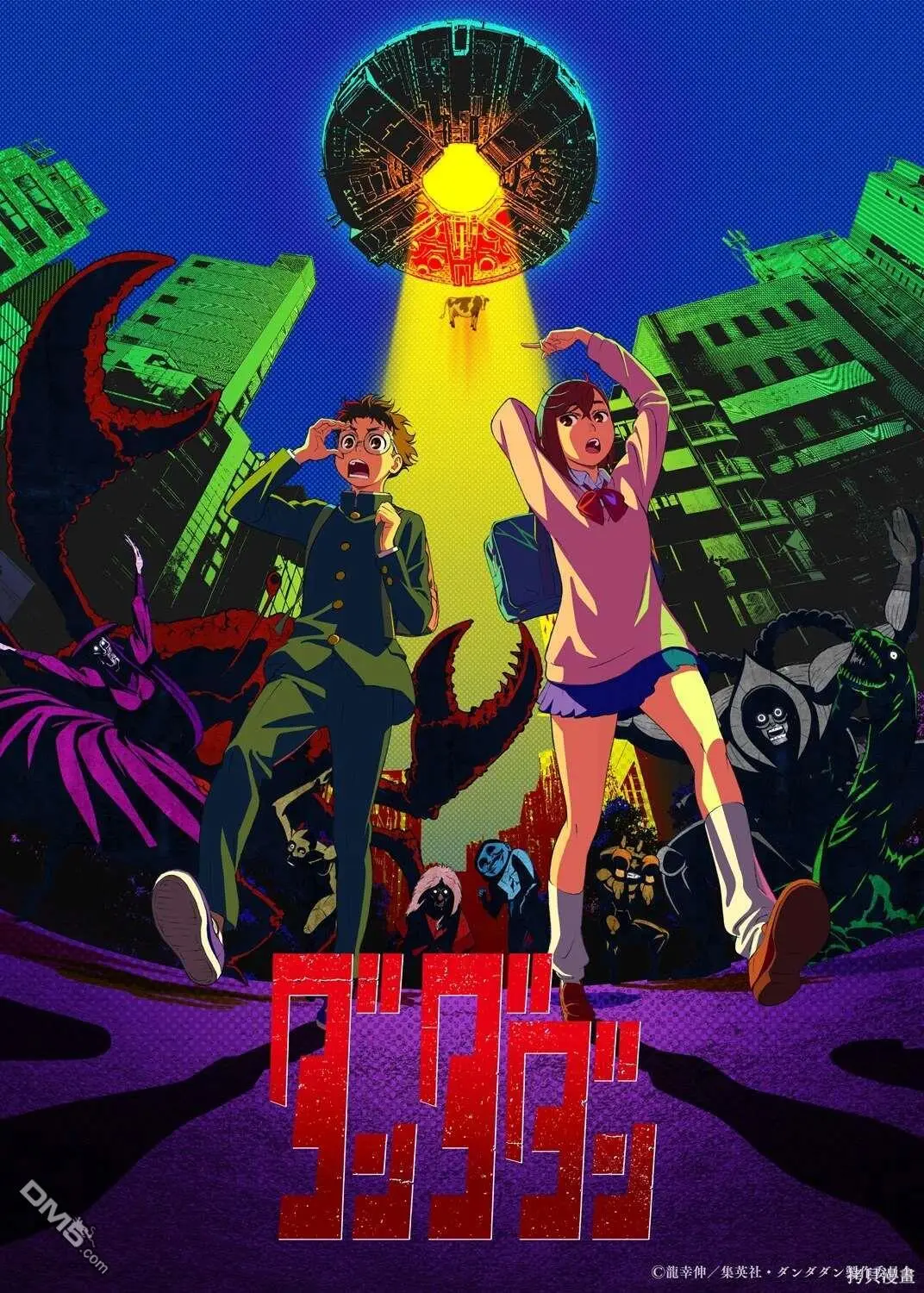 动画化决定 第1页