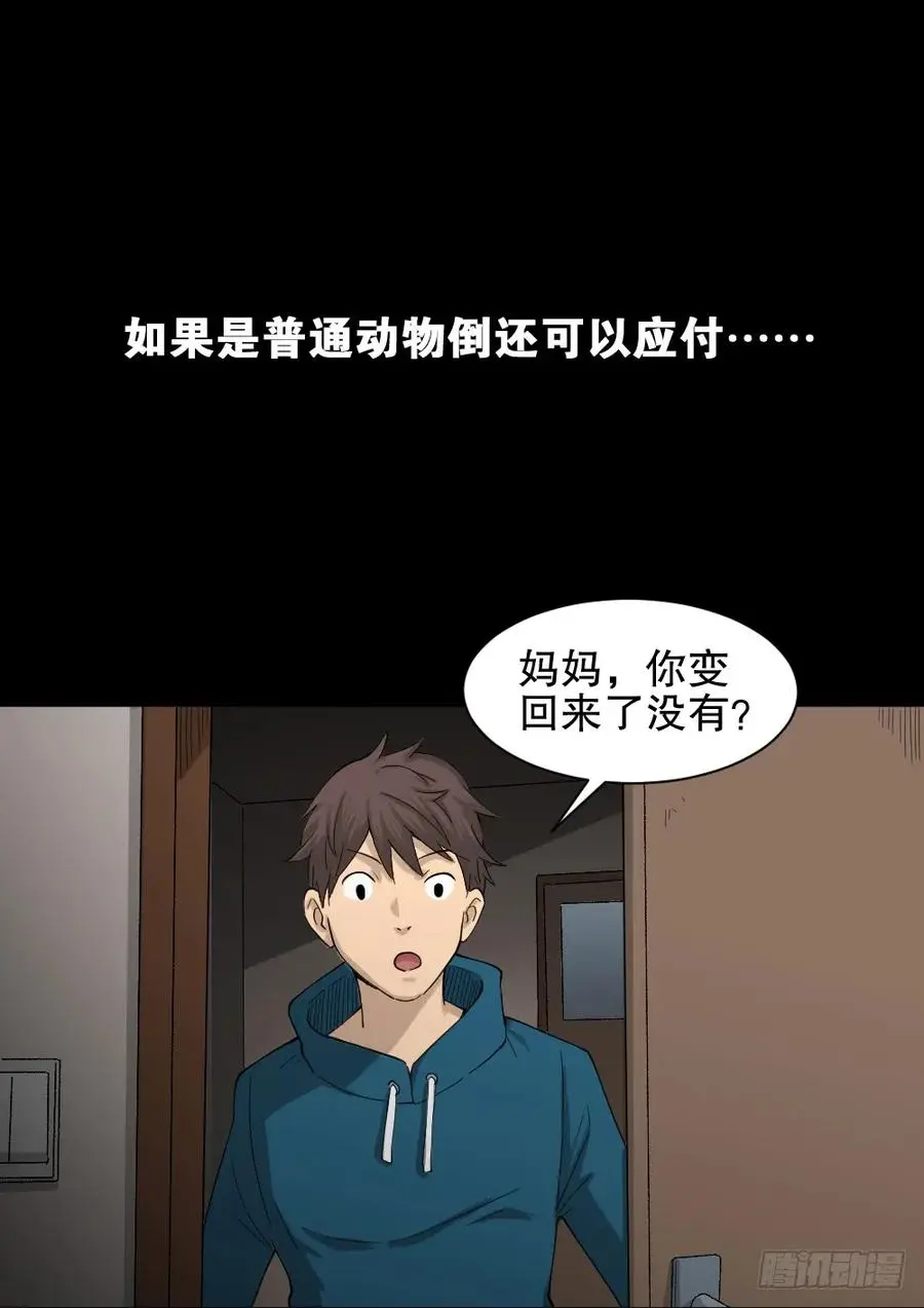 动物妈妈（3） 第20页