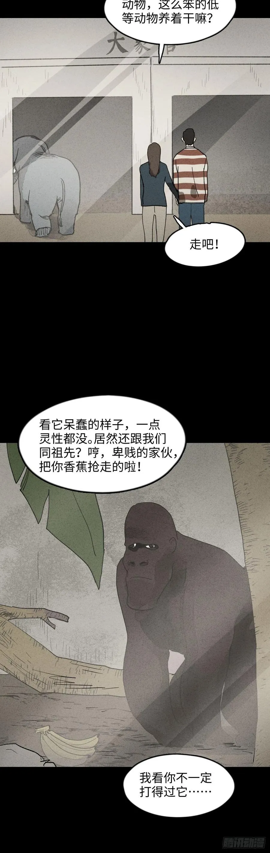 动物园 第9页