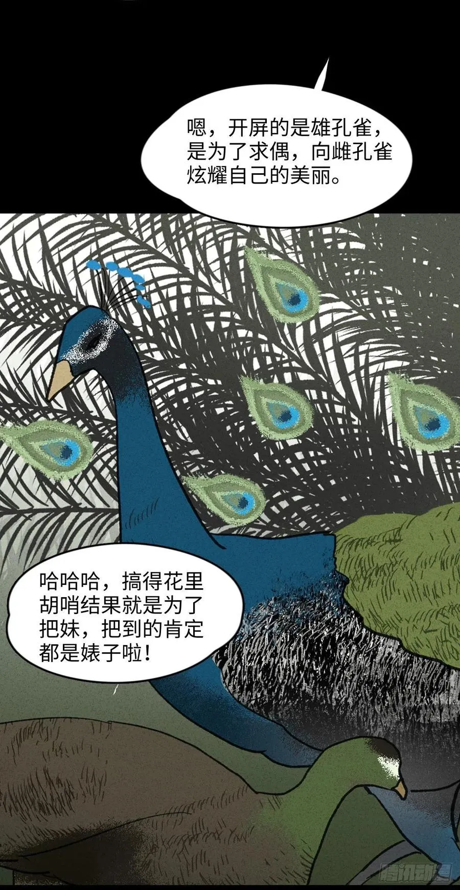 动物园 第14页