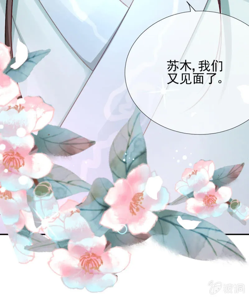 糟了！苏木偷溜了！ 第25页