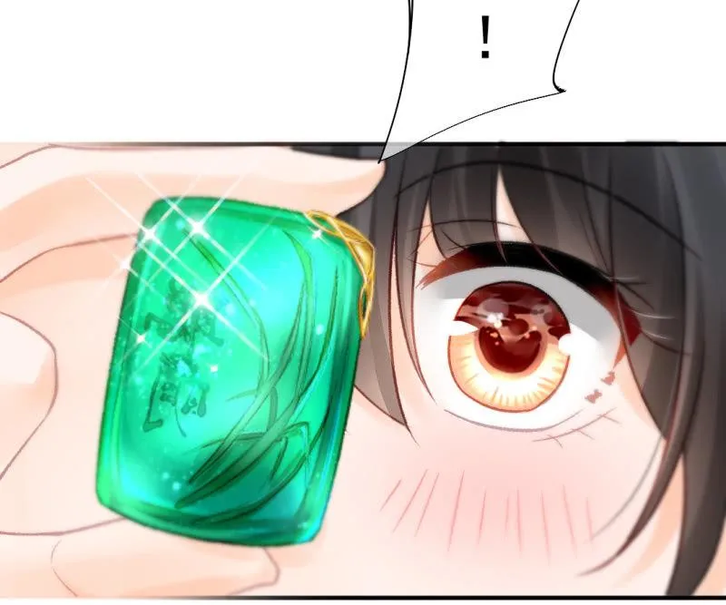 孔秀儿的玉牌 第7页