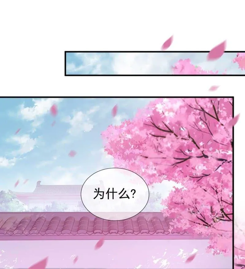 突如其来的桃花运 第3页