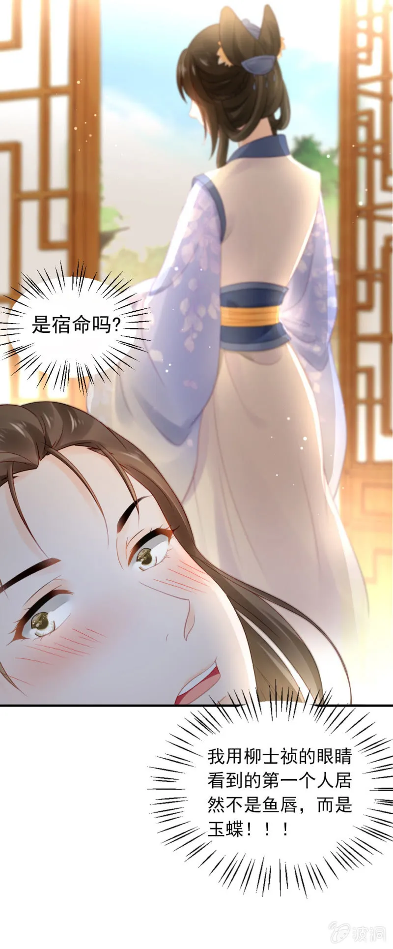 狸猫仙究竟是？ 第33页