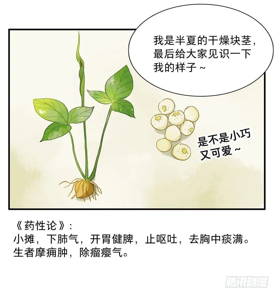 四格·药精们的日常④ 第55页