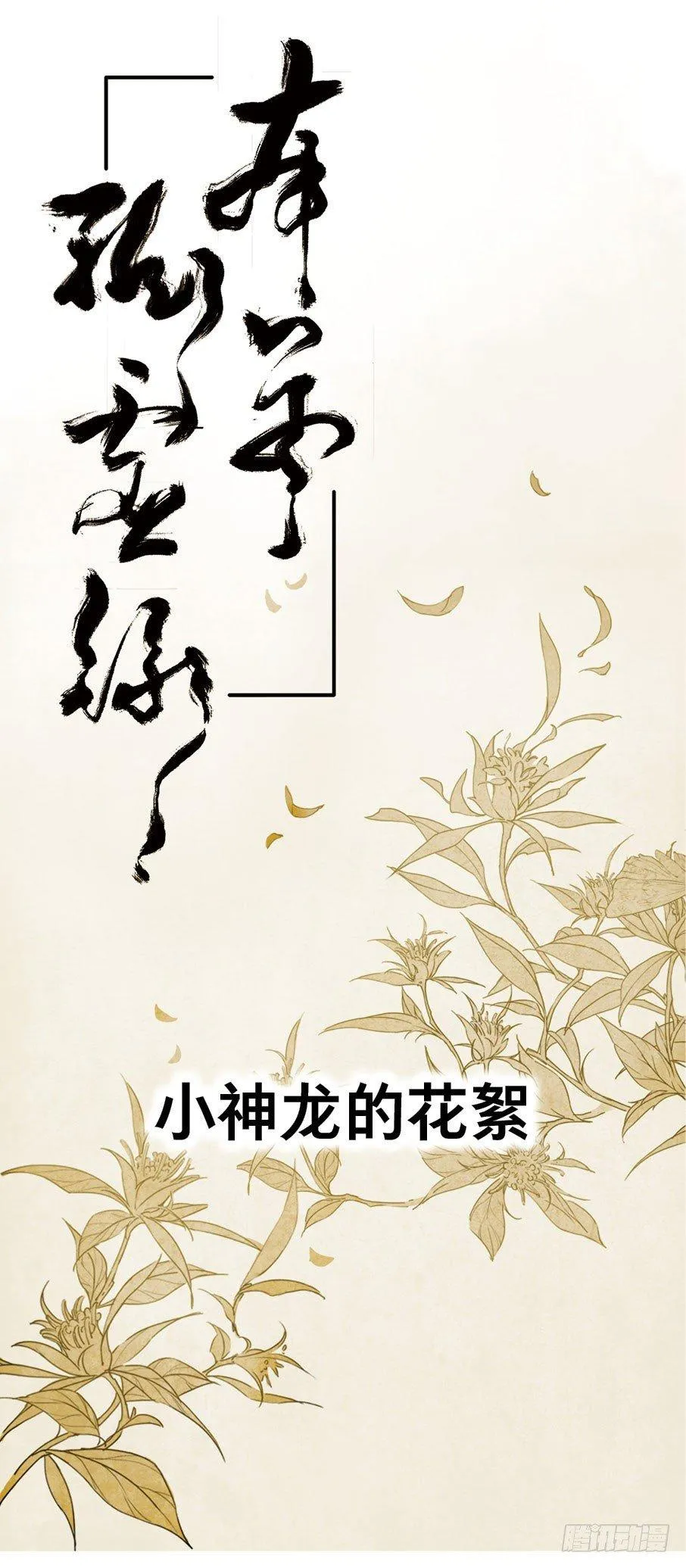 小神龙的花絮 第1页