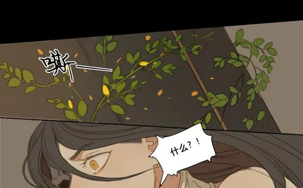 交锋（五） 第29页