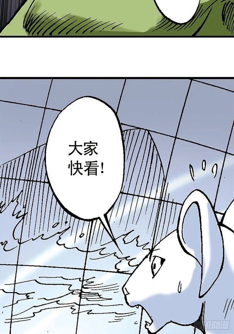 第127话 特殊的‘欢迎’仪式 第14页