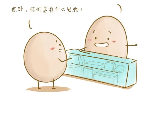 对不起，谢谢你 第6页